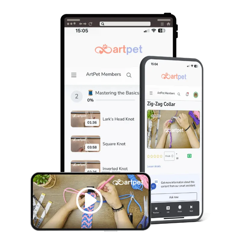 ArtPet learning app on phone