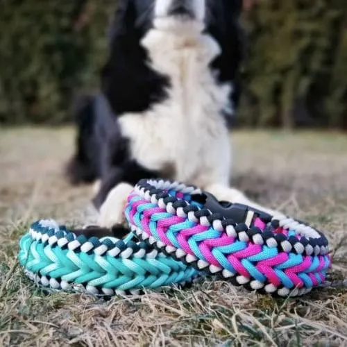 Handmade pet collar design