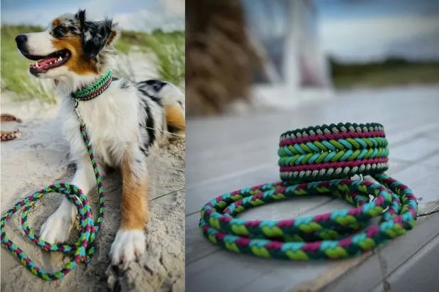 Handmade collar on a dog